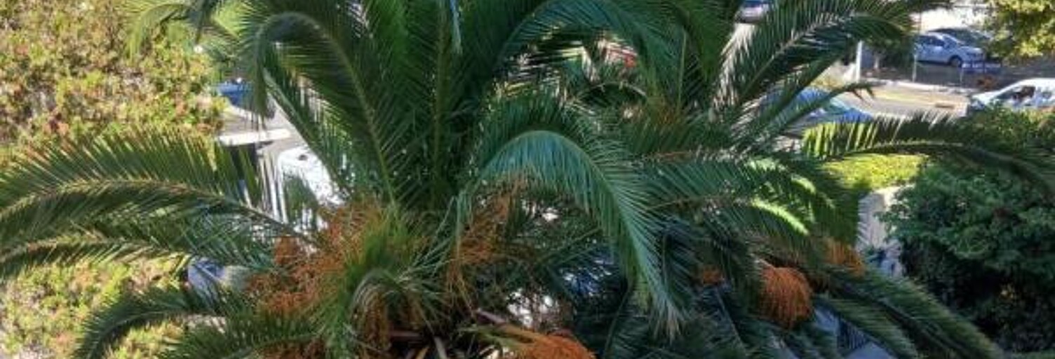 Appartement 4 Pièces 82 m² à louer à Fréjus (83600)