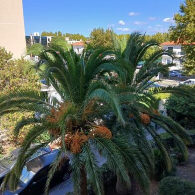 Appartement 4 pièces 1450 €