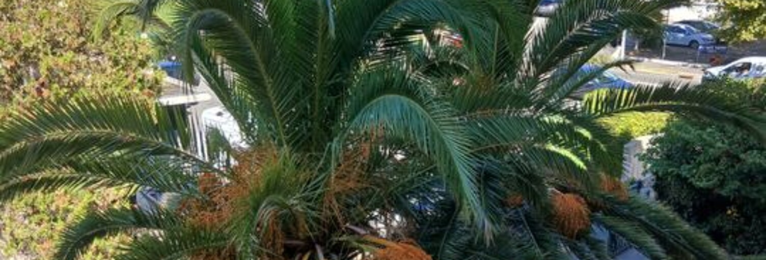 Appartement 4 Pièces 82 m² à louer à Fréjus (83370)