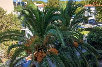 Appartement 4 pièces 1450 €