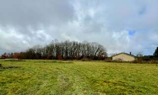 Photo N° 5
