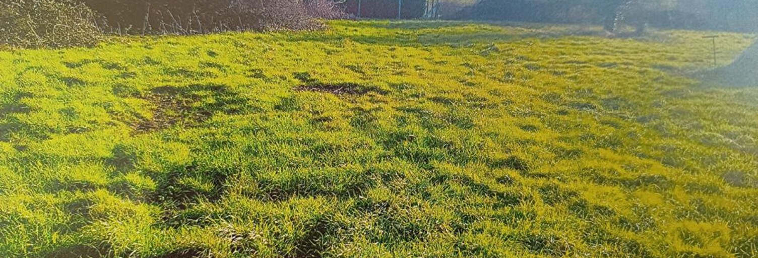 Terrain  1500 m² à vendre à Saint-Laurent-sur-Mer (14710)