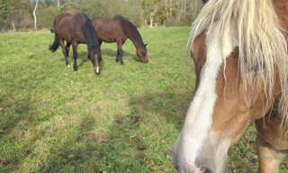 Maison 5 Pièces 112 m² à vendre à La Lande-de-Goult (61320)