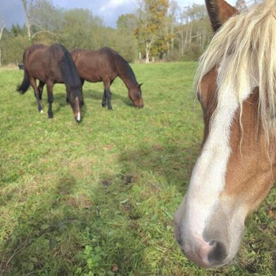 Maison 5 pièces 299500 €