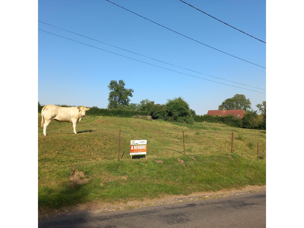 Terrain  à vendre Fressin 62140