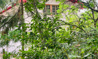 Maison 4 Pièces 87 m² à vendre à Capbreton (40130)