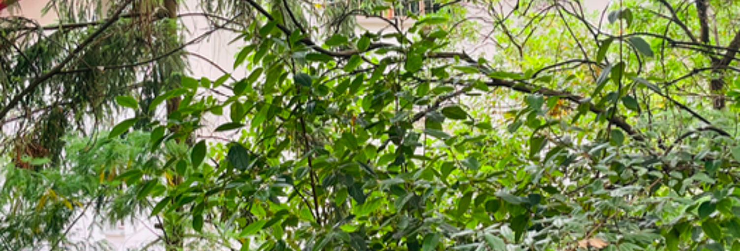 Maison 4 Pièces 87 m² à vendre à Capbreton (40130)