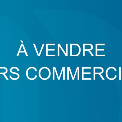 Commerce  485000 €