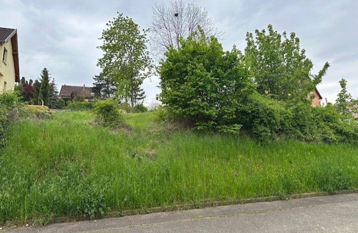 Terrain constructible à BISCHOFFSHEIM — photo 3