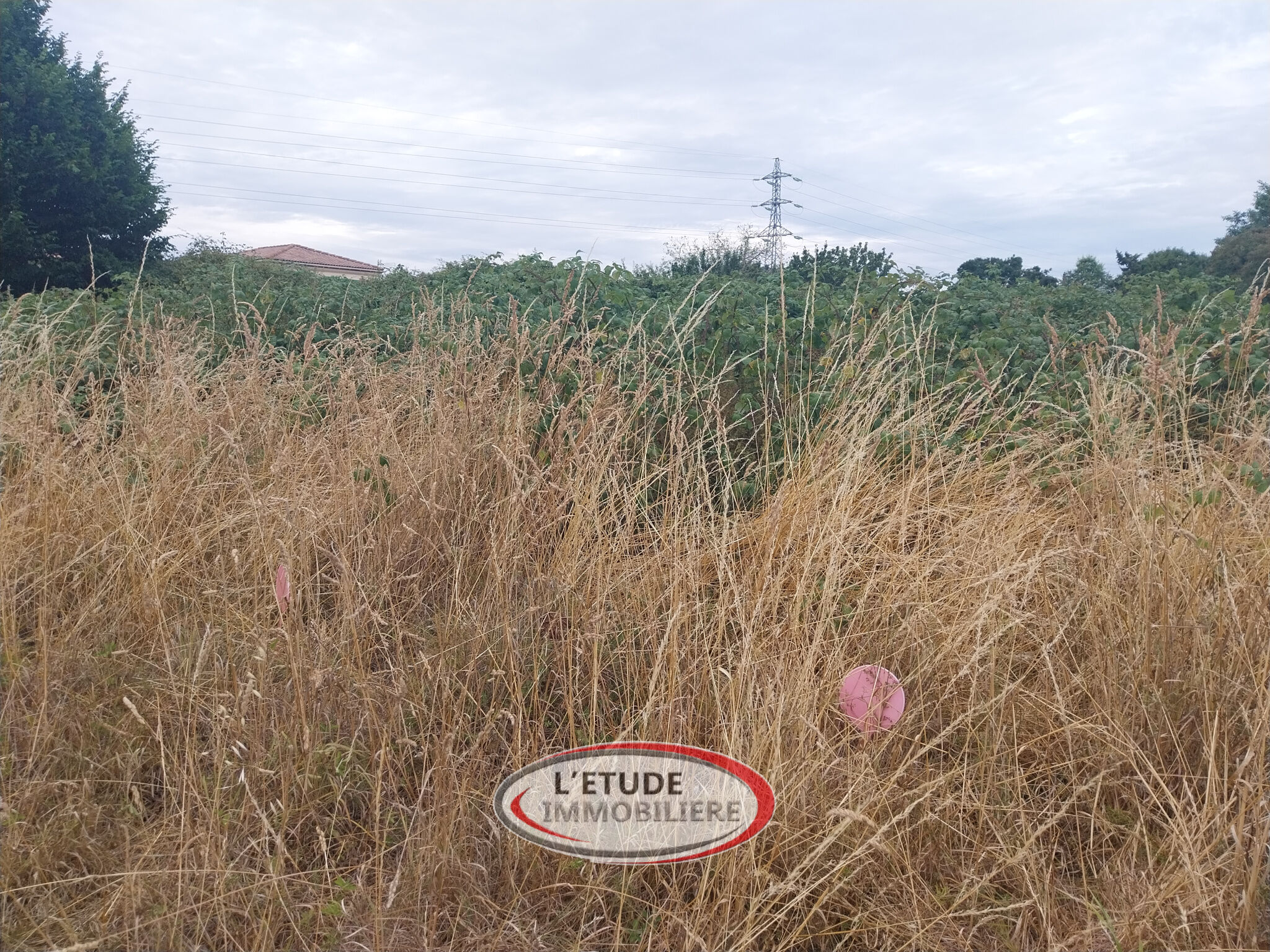 Agence immobilière de L'Etude Immobilière