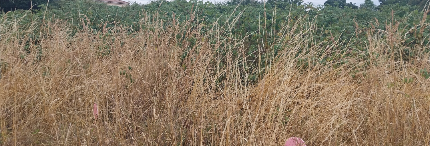 Terrain  474 m² à vendre à Sainte-Pazanne (44680)