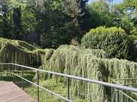 A VENDRE - SOQUET IMMOBILIER - EXCLUSIVITÉ - GUITTÉ — photo 3