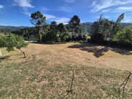 Maison 171 m2 terrain 5894 m2 — photo 2