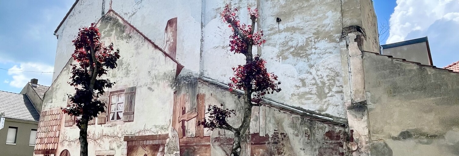 Appartement 4 Pièces 69 m² à vendre à Freyming-Merlebach (57800)