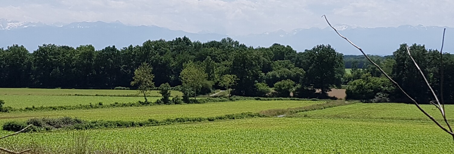 Maison 5 Pièces 112 m² à vendre à Montardon (64121)