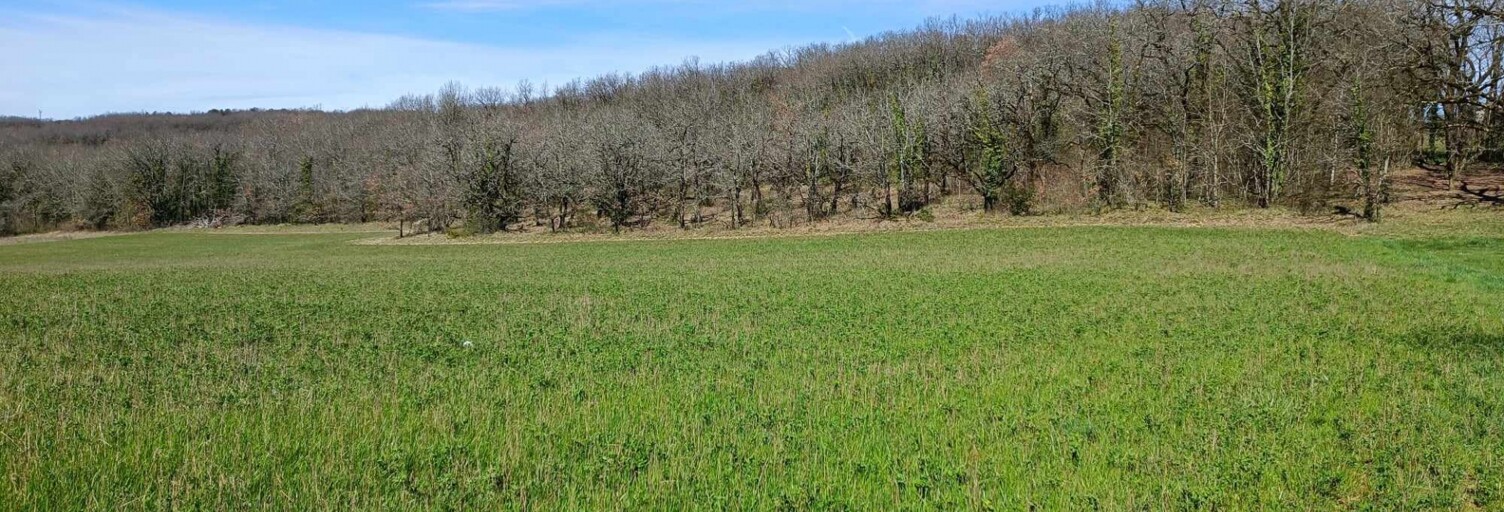 Terrain  4859 m² à vendre à Jayac (24590)