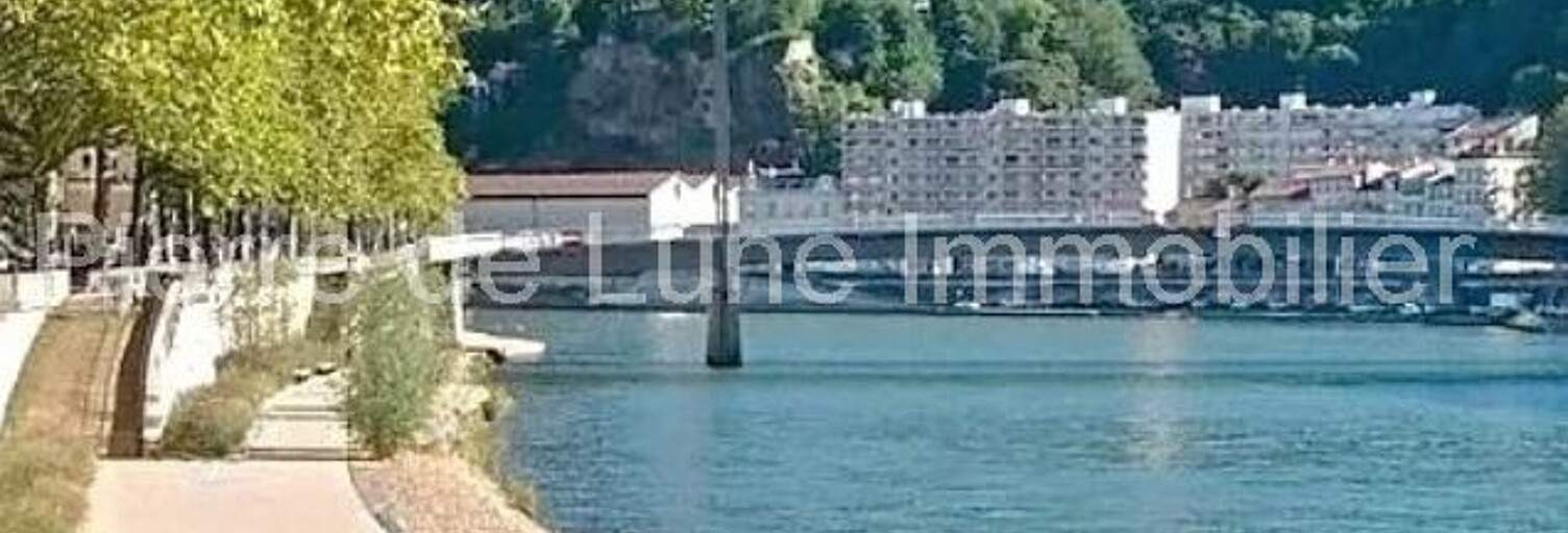 Appartement 1 Pièce 39 m² à vendre à Lyon 1 (69001)