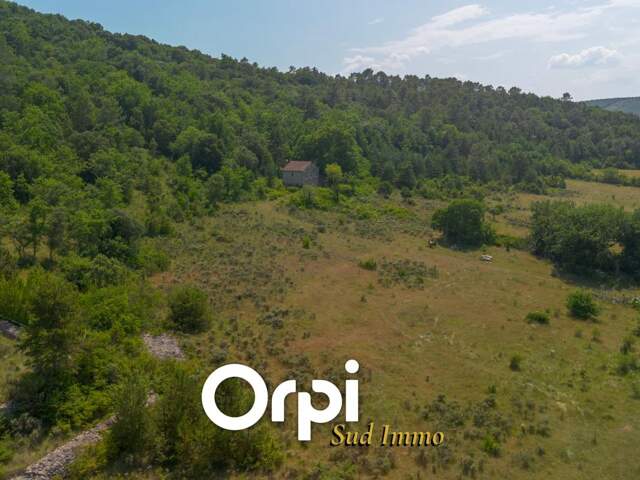 Propriété Agricole avec maison — photo du bien