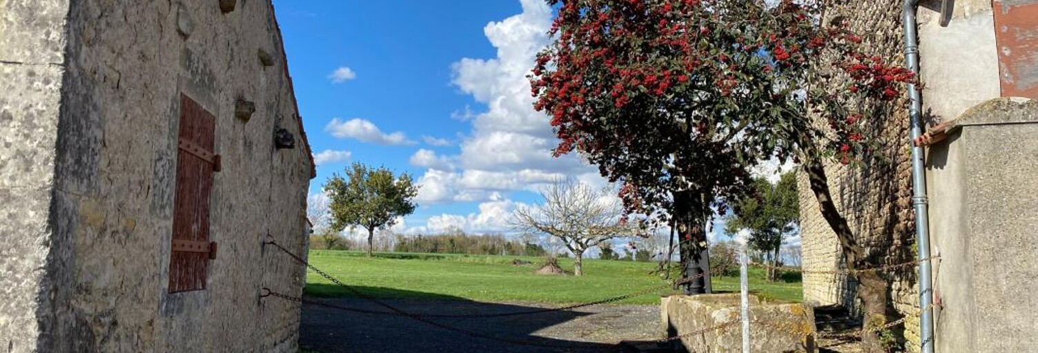 Maison 1 Pièce 303 m² à vendre à Annezay (17380)