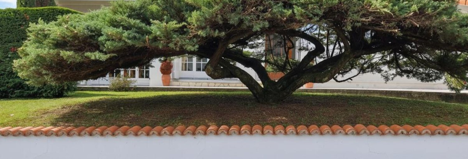 Maison 4 Pièces 102 m² à vendre à Saint-Paul-lès-Dax (40990)