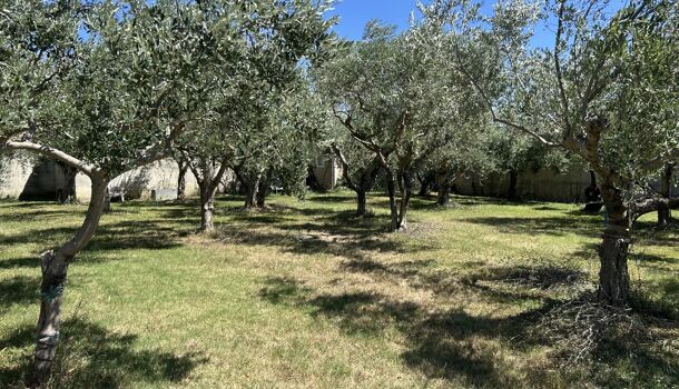 Terrain  à vendre Ancône 26200