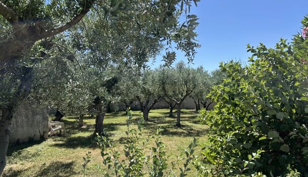 Terrain  à vendre Ancône 26200