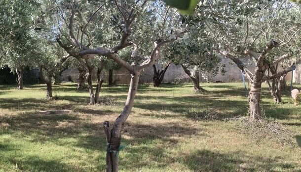 Terrain  à vendre Ancône 26200