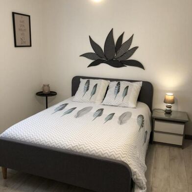 Appartement 1 pièces 520 €