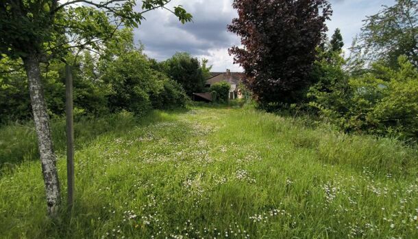 Villa / Maison 10 pièces  à vendre Olivet 45160