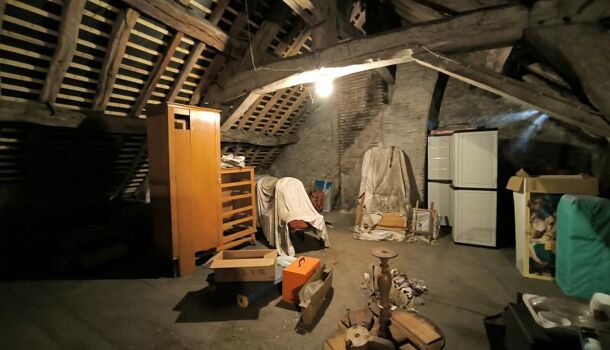 Villa / Maison 10 pièces  à vendre Olivet 45160