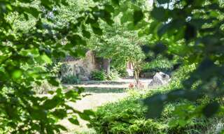 Maison 8 Pièces 200 m² à vendre à Barjac (48000)