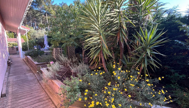 Villa / Maison 6 pièces  à vendre Messanges 40660