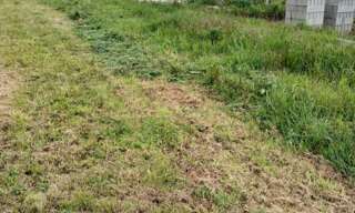 Terrain  1555 m² à vendre à Baudrières (71370)