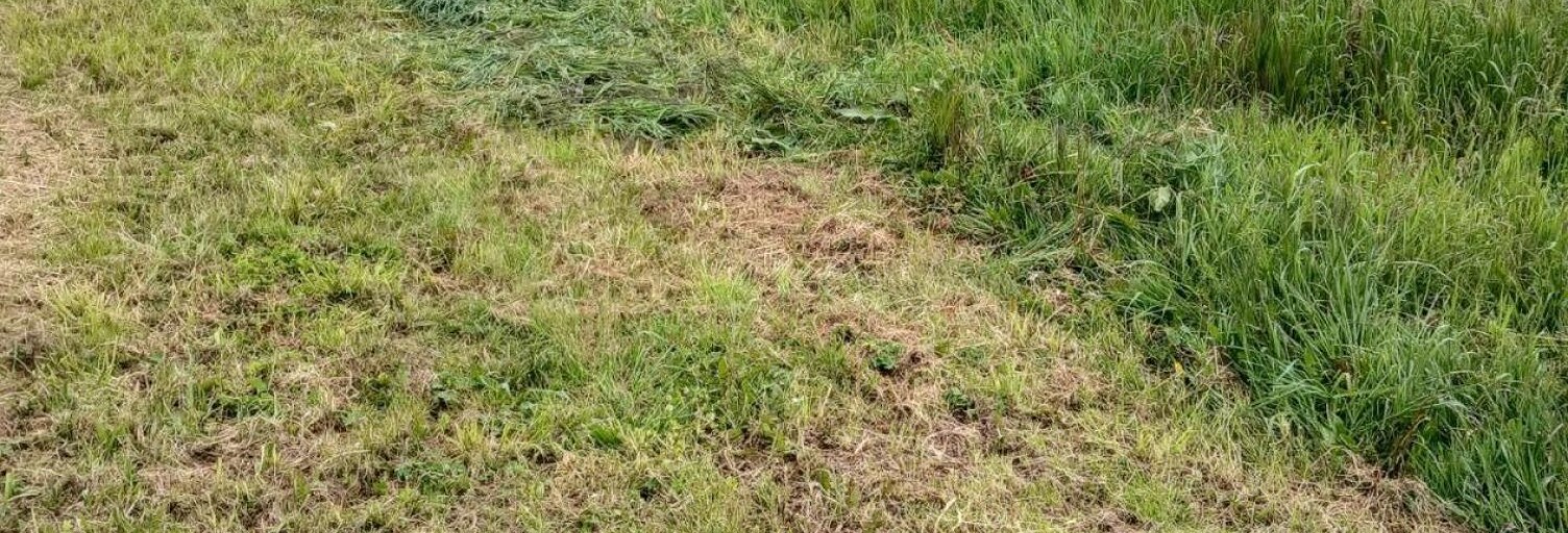 Terrain  1555 m² à vendre à Baudrières (71370)