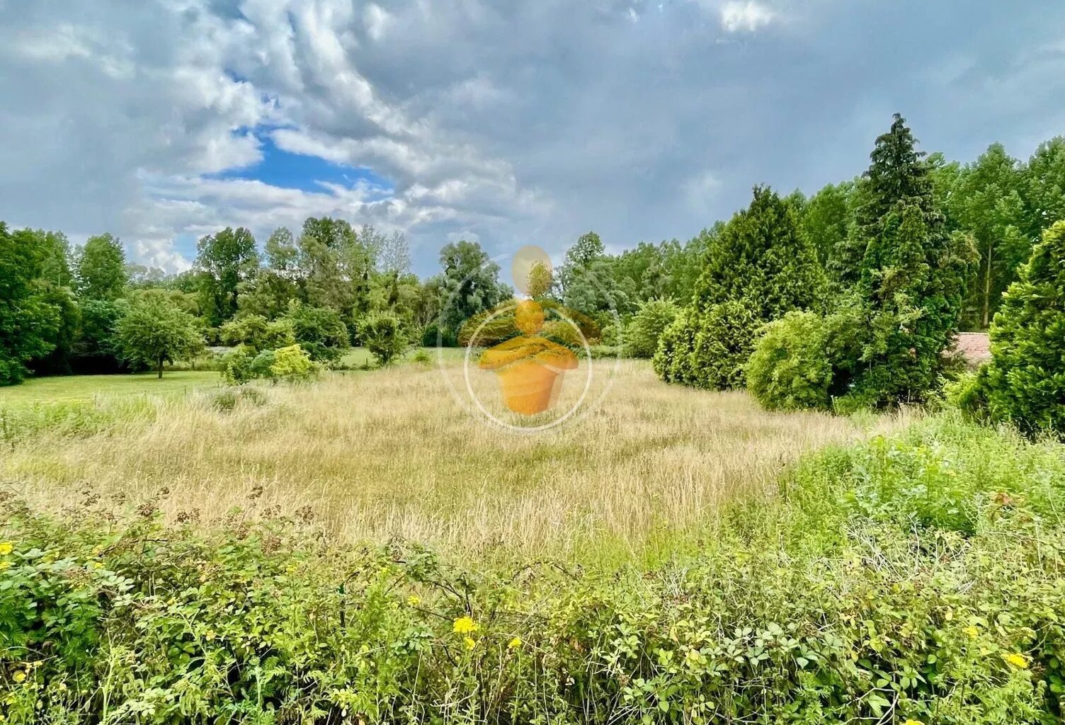 Vente terrain  2000 m² Beautor (02800) — photo 1