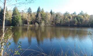 Terrain  30831 m² à vendre à La Chapelle-Montbrandeix (87440)