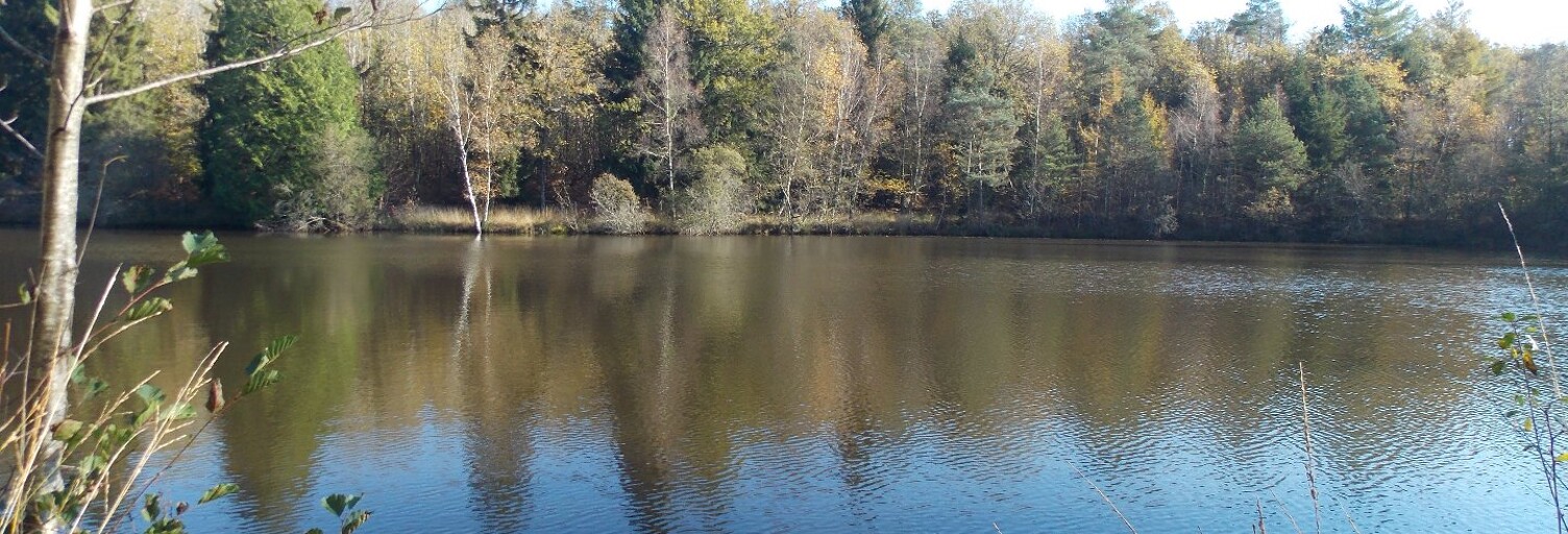 Terrain  30831 m² à vendre à La Chapelle-Montbrandeix (87440)