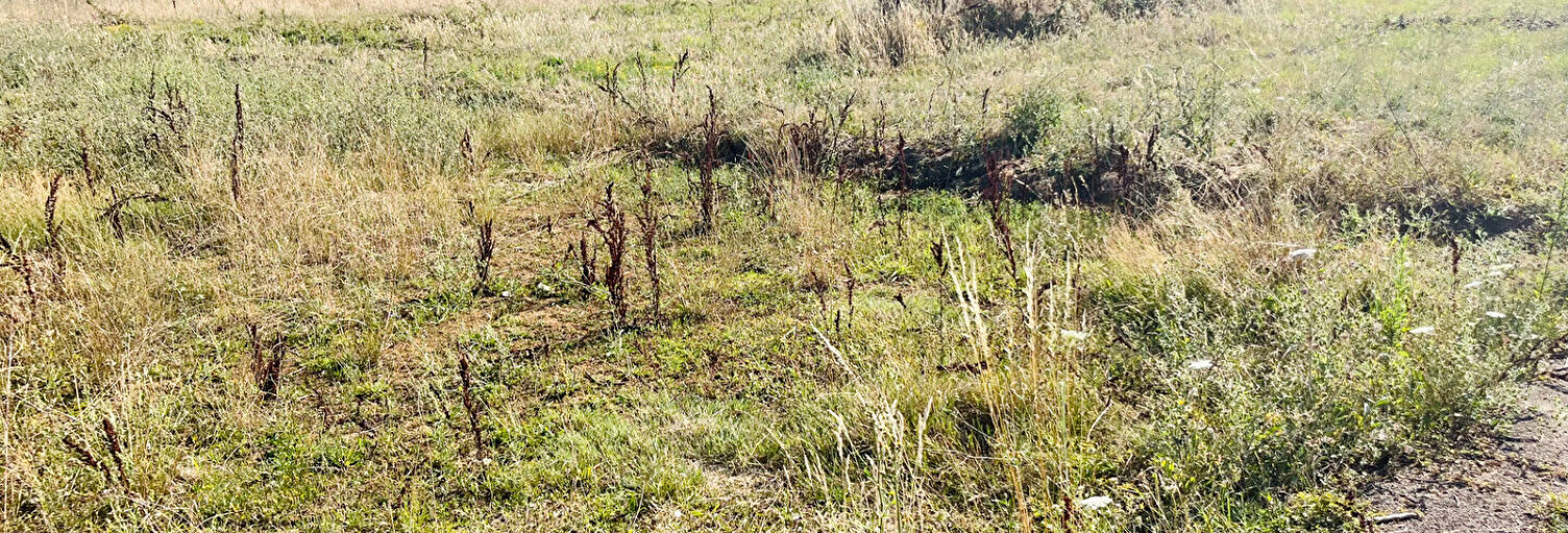 Terrain  8650 m² à vendre à Gurgy (89250)