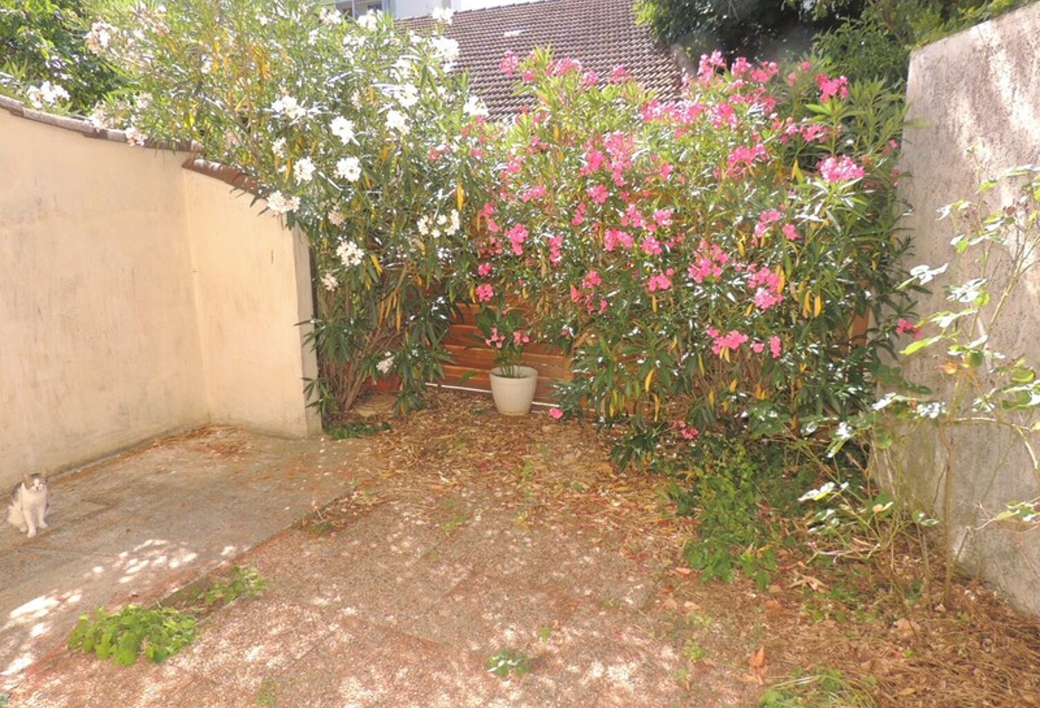 Maison de ville — photo 1