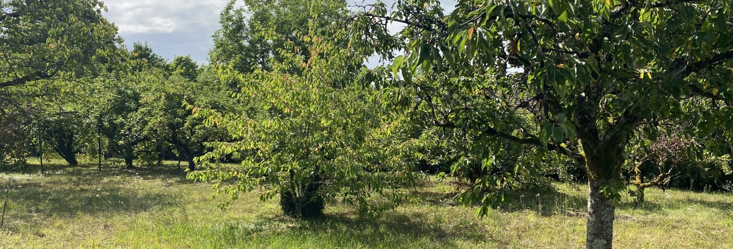 Terrain  732 m² à vendre à Montigny-sur-Loing (77690)