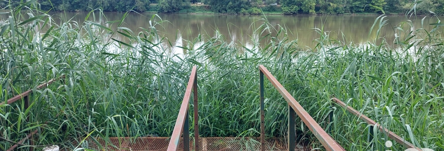 Maison 7 Pièces 224 m² à vendre à Sainte-Terre (33350)