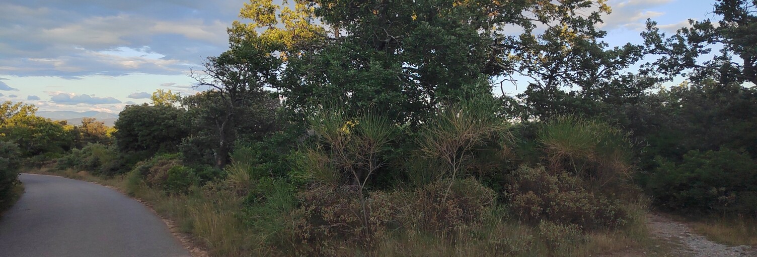 Terrain  2100 m² à vendre à Lagarde-Paréol (84290)