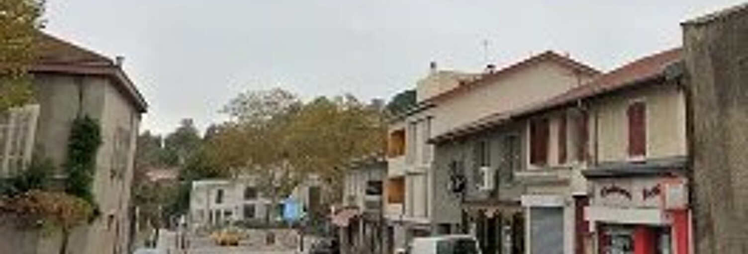 Commerce 2 Pièces 28 m² à vendre à Rillieux-la-Pape (69140)