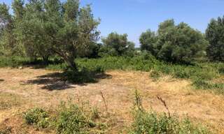 Terrain  6640 m² à vendre à Saint-Hilaire-d'Ozilhan (30210)