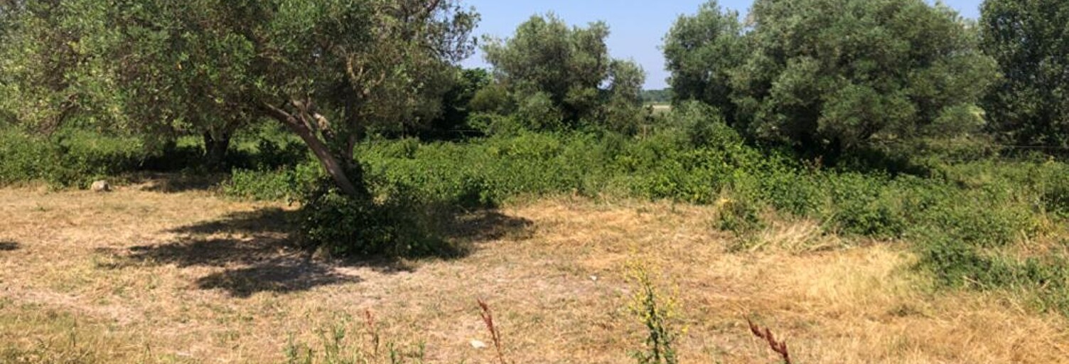 Terrain  6640 m² à vendre à Saint-Hilaire-d'Ozilhan (30210)