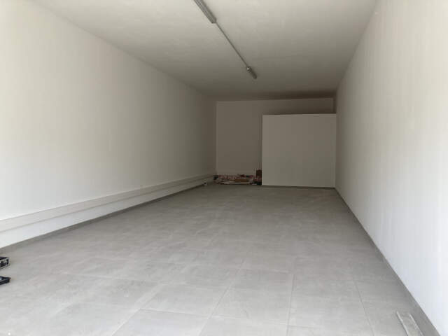 LOCAL COMMERCIAL OU PROFESSIONNEL - LIGNE DES BAMBOUS — photo du bien