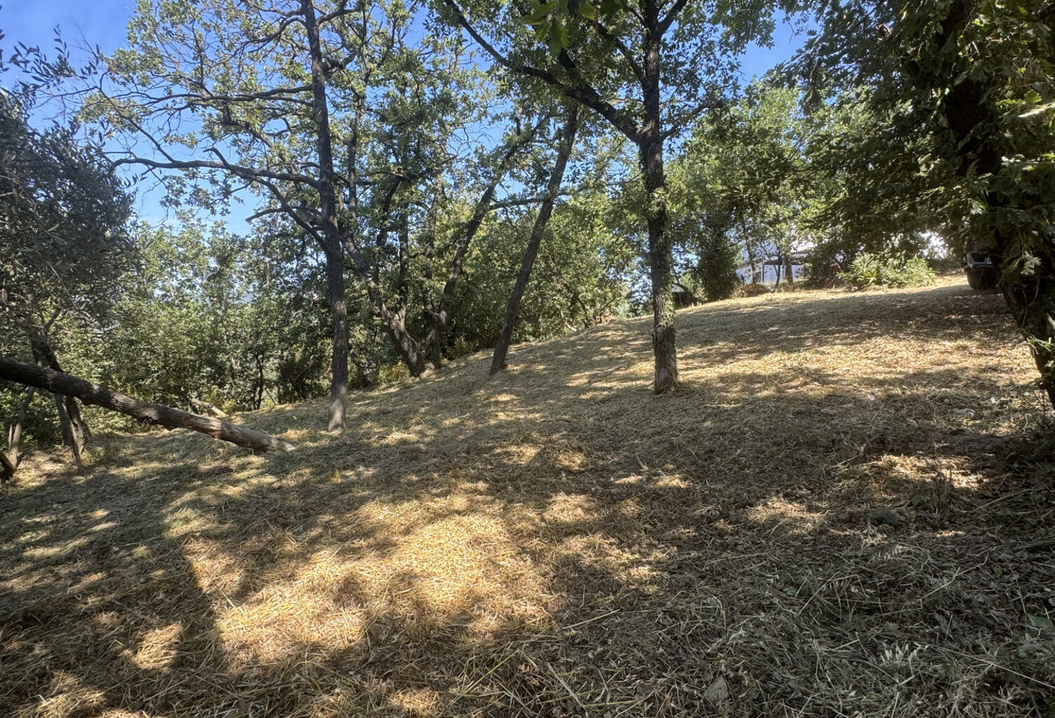 À Vendre   Terrain constructible de 2023 m2 à Contes, Quarti — photo 1