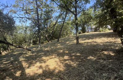 À Vendre   Terrain constructible de 2023 m2 à Contes, Quarti — photo du bien