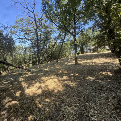 Terrain  250000 €