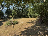 À Vendre   Terrain constructible de 2023 m2 à Contes, Quarti — photo 2
